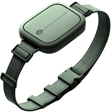 Smart Collar