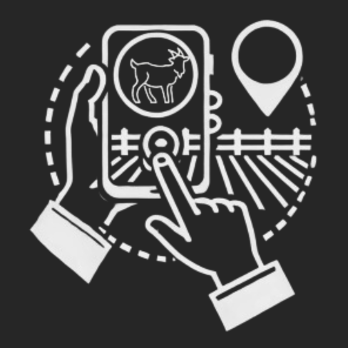 Setting Virtual Boundaries
